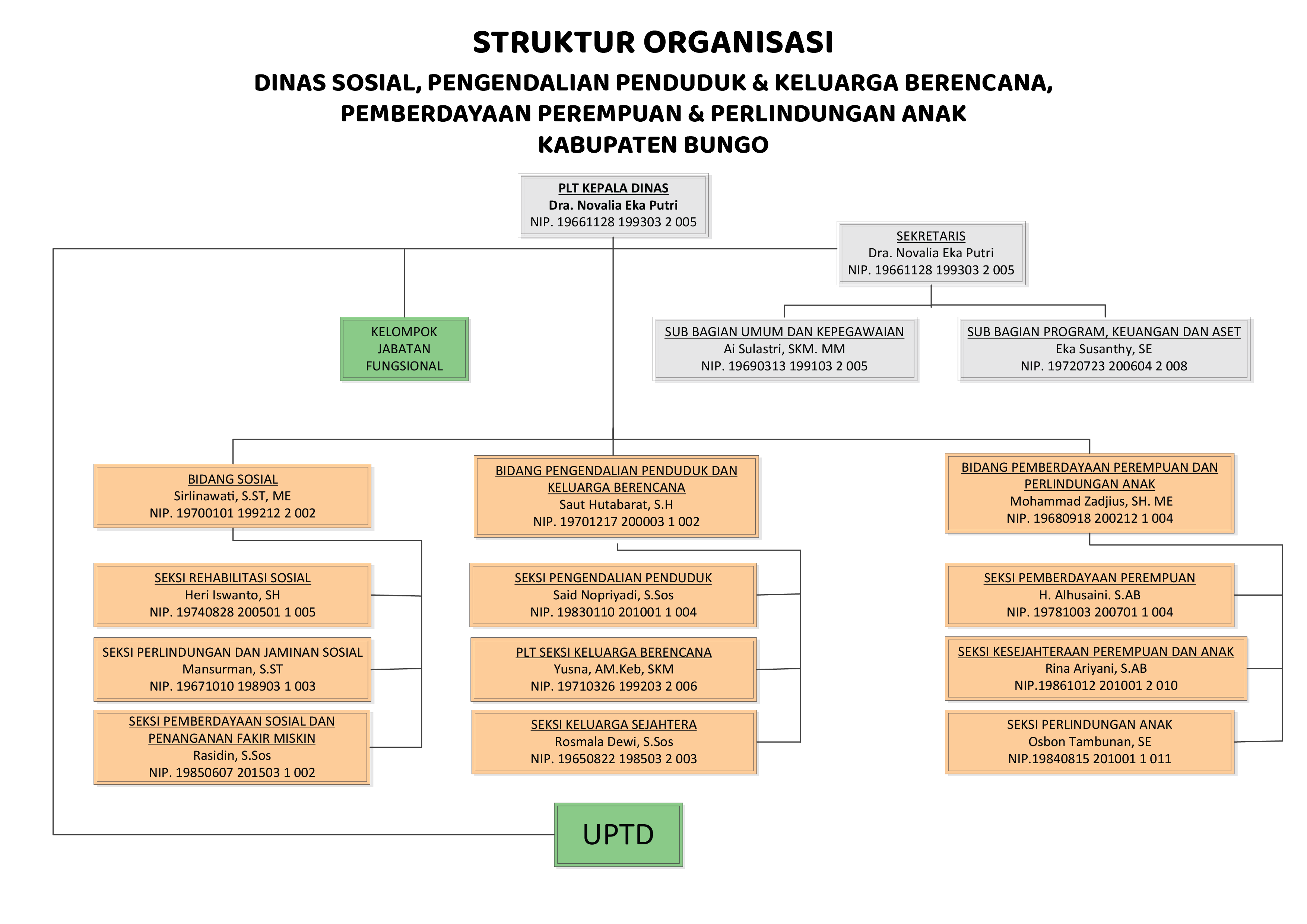 Bagan Struktur Organisasi DPMPTSPKUKM